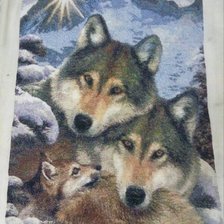 Процесс «Семья Волков»