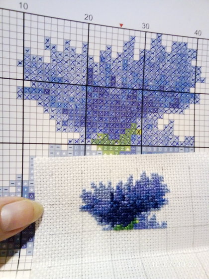 Этап процесса «Василек»