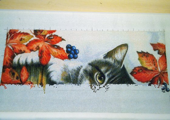 Этап процесса «Кузя»