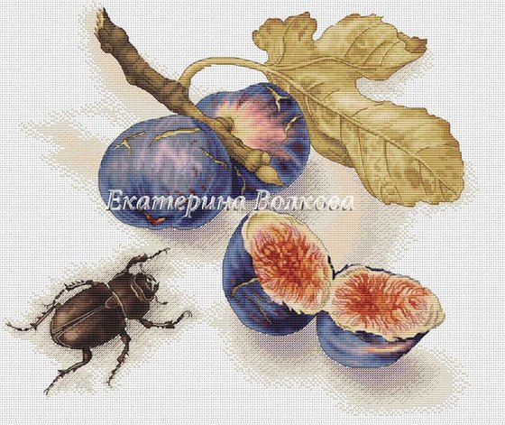 Этап процесса «Инжир от Екатерины Волковой»