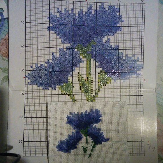 Этап процесса «Василек»