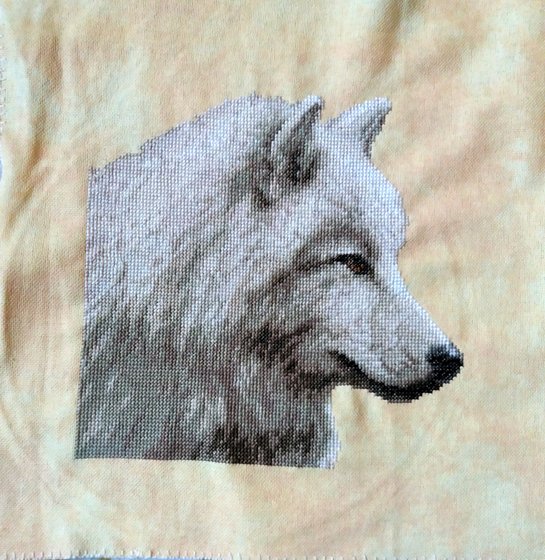 Этап процесса «Волки в полнолуние от Vervaco»