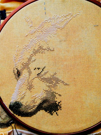 Этап процесса «Волки в полнолуние от Vervaco»