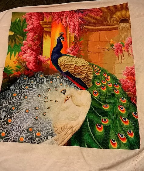 Этап процесса «Роскошные павлины»