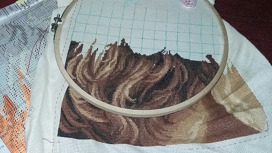 Этап процесса «Рожденные свободными»