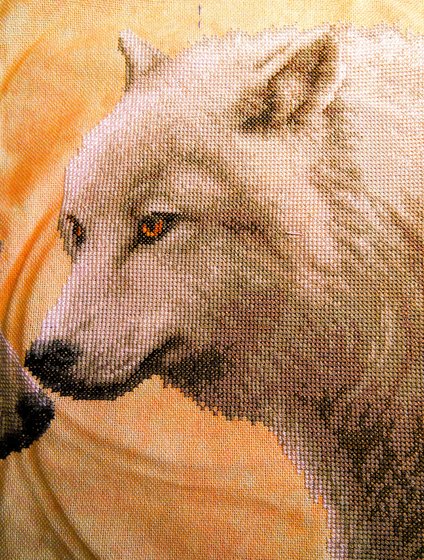 Этап процесса «Волки в полнолуние от Vervaco»