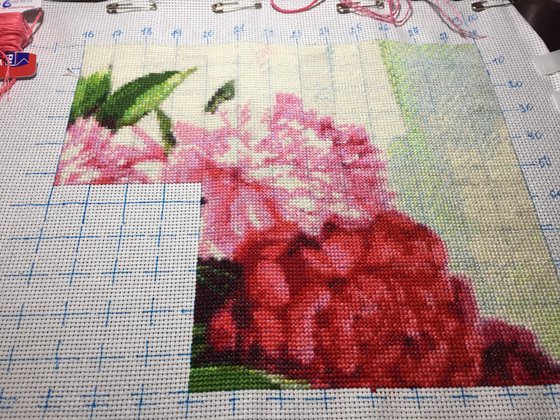 Этап процесса «Пионы»