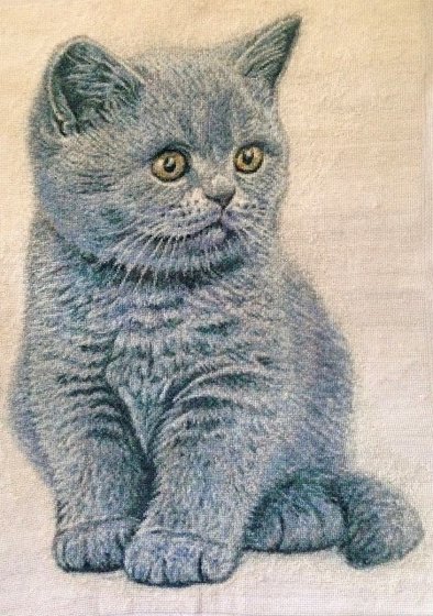 Этап процесса «Little Lord»