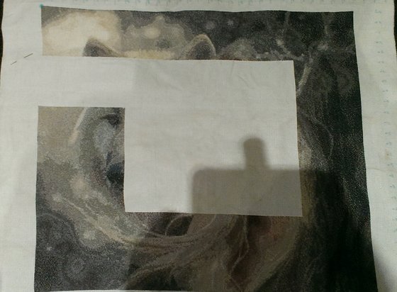 Этап процесса «Девушка и белый волк»