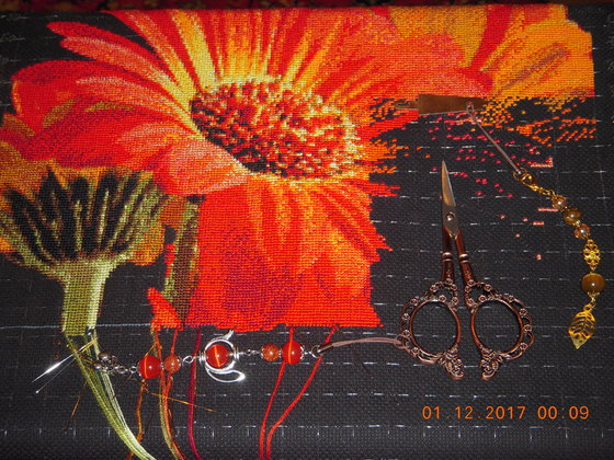 Этап процесса «Герберы»