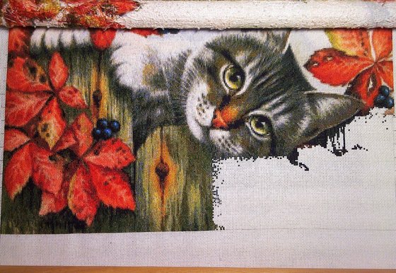 Этап процесса «Кузя»