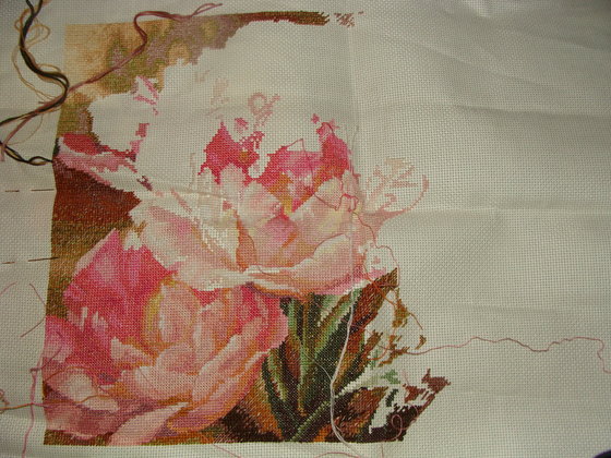 Этап процесса «Трио тюльпанов»