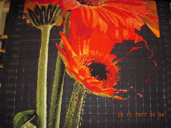 Этап процесса «Герберы»