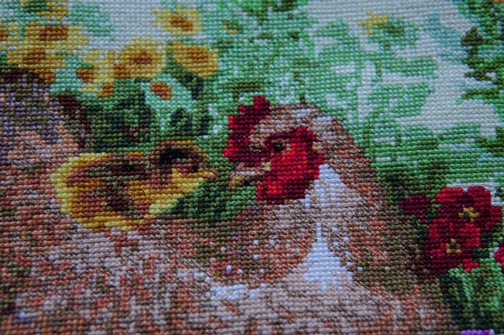 Этап процесса «Петушиная семья»