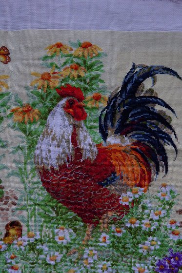 Этап процесса «Петушиная семья»