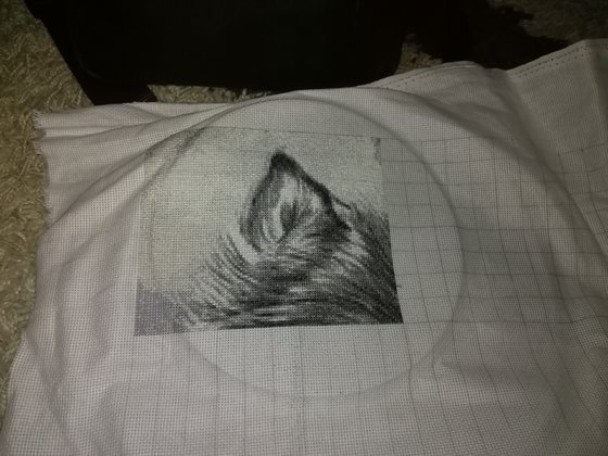 Этап процесса «Волк»