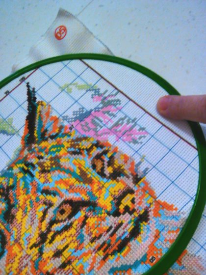 Этап процесса «Рождественская кошка»