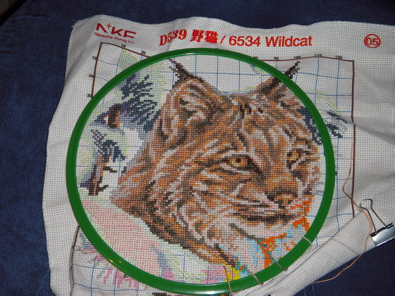 Этап процесса «Рождественская кошка»