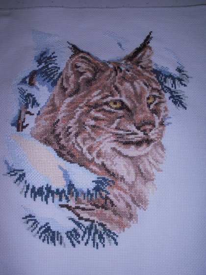 Этап процесса «Рождественская кошка»