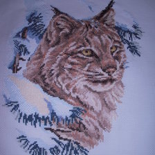 Процесс «Рождественская кошка»