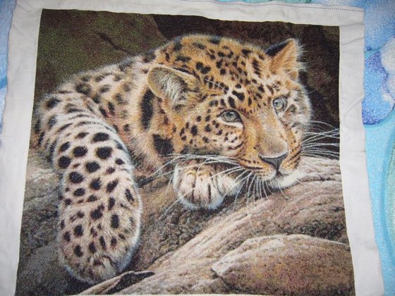 Этап процесса «Леопард»