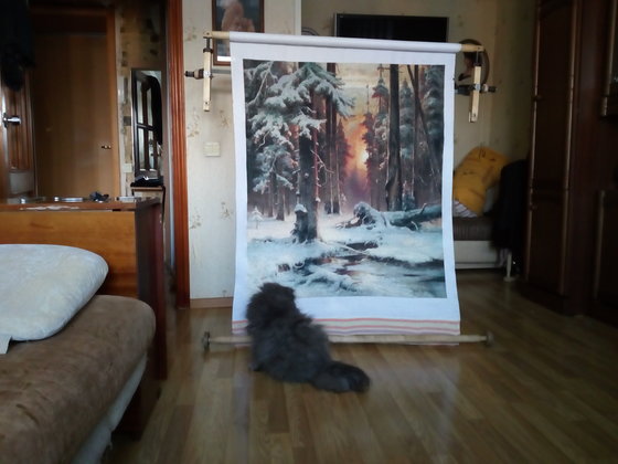 Этап процесса «зимний закат в еловом лесу GK 1682»