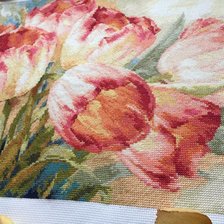 Процесс «Тюльпаны "Алиса"»