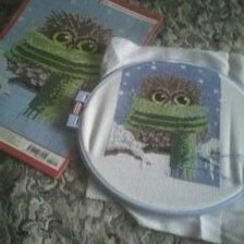 Процесс «"Совёнок зимой"»