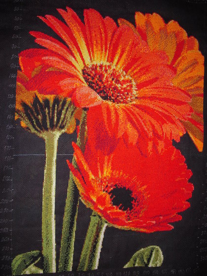 Этап процесса «Герберы»