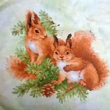 Процесс «Белочки от Риолис»