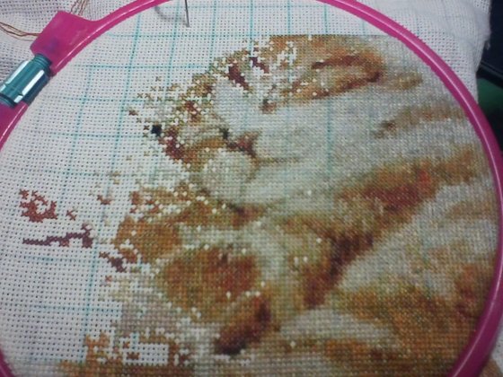 Этап процесса «Котята в яблоках»