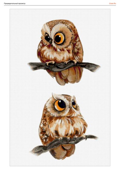 Этап процесса «"Совушки - красавицы"»