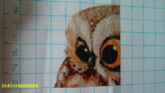 Этап процесса «"Совушки - красавицы"»