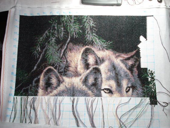 Этап процесса «пара волков»