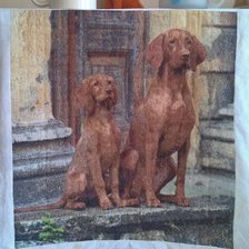 Процесс «Венгерские выжлы Хонда и Тесла»