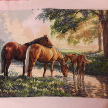 Процесс «Horses by a stream Dimensions»