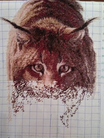 Этап процесса «РЫСЬ ПО АВТОРСКОЙ СХЕМЕ.»