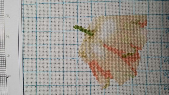 Этап процесса «Маки от Мережки»