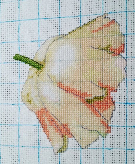 Этап процесса «Маки от Мережки»