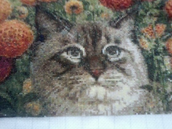 Этап процесса «Птичий двор.»