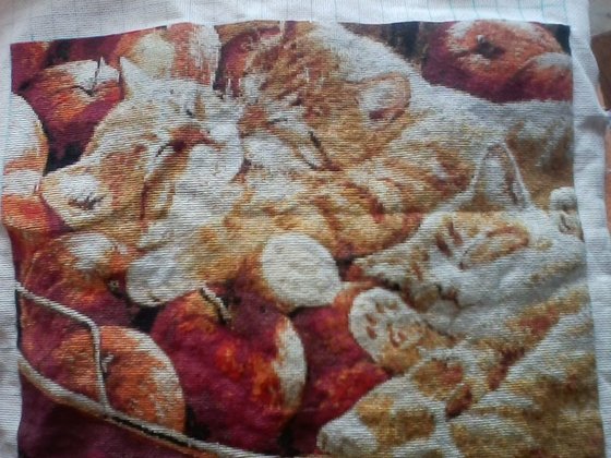 Этап процесса «Котята в яблоках»