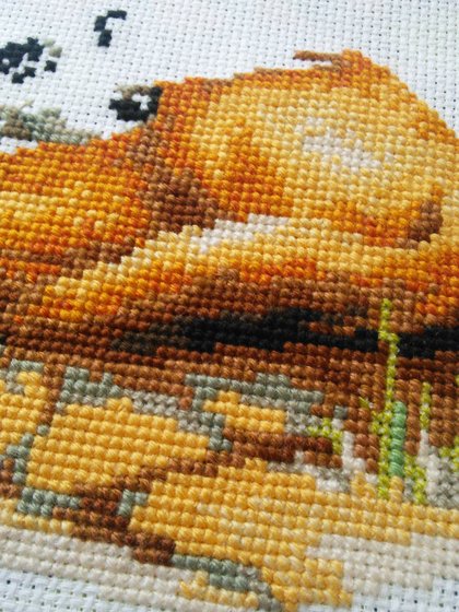 Этап процесса «Лисички от Риолис»