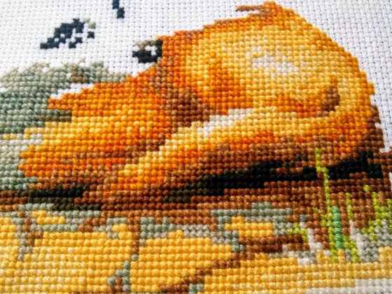 Этап процесса «Лисички от Риолис»