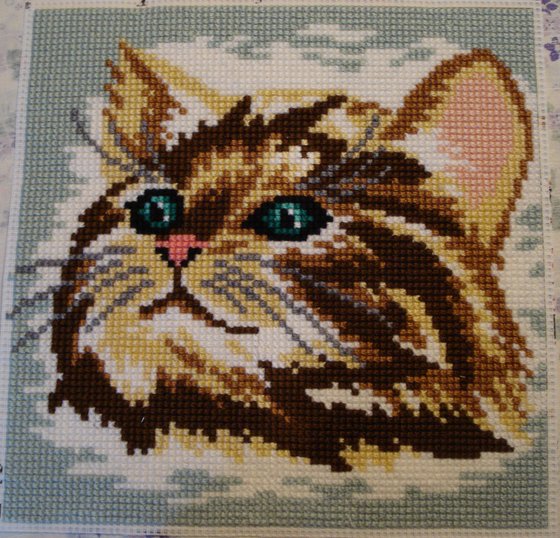 Этап процесса «подушка "кот"»