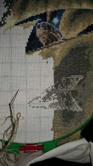 Этап процесса «Золотое руно "К дальним берегам"»