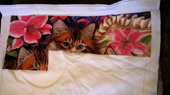 Этап процесса «Три пушистых котёнка»