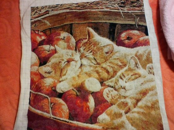 Этап процесса «Котята в яблоках»