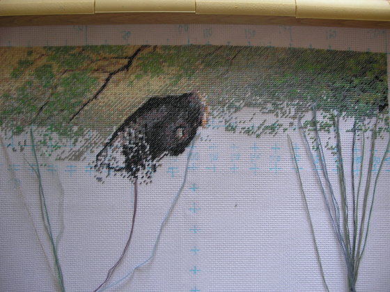 Этап процесса «Прыгающие карпы»