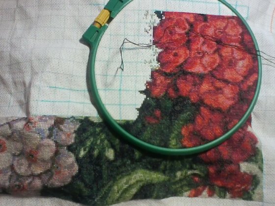 Этап процесса «Флоксы»