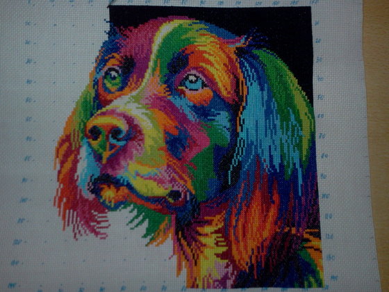 Этап процесса «Радужный пес»